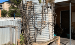 #1 Rainwater Tanks